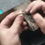 pedra34