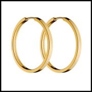 ARGOLA (400 x 400)